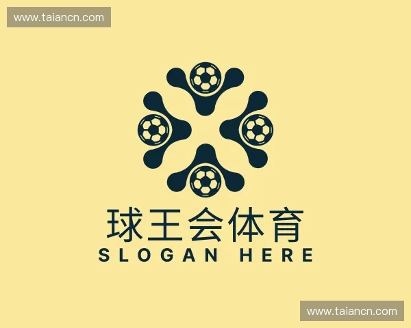 介绍球王会体育